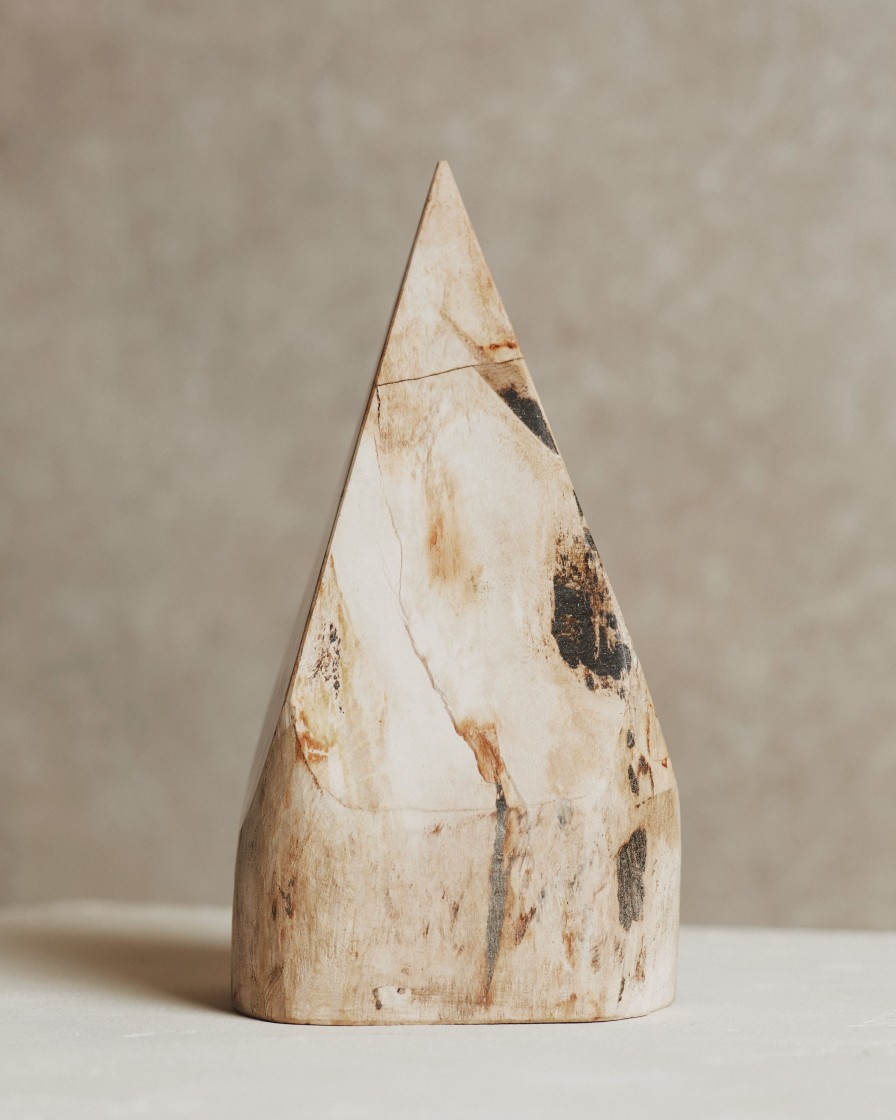 Homeware Form & Balance | Relic Petrified Wood Sculpture