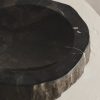 Homeware Form & Balance | Relic Petrified Wood Bowl | Black